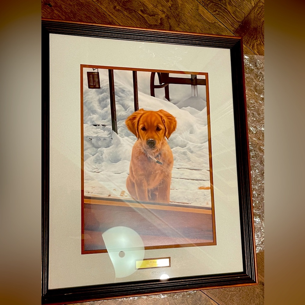 Smudge - Golden Retriever Puppy
Framed Art by Brett Longley
